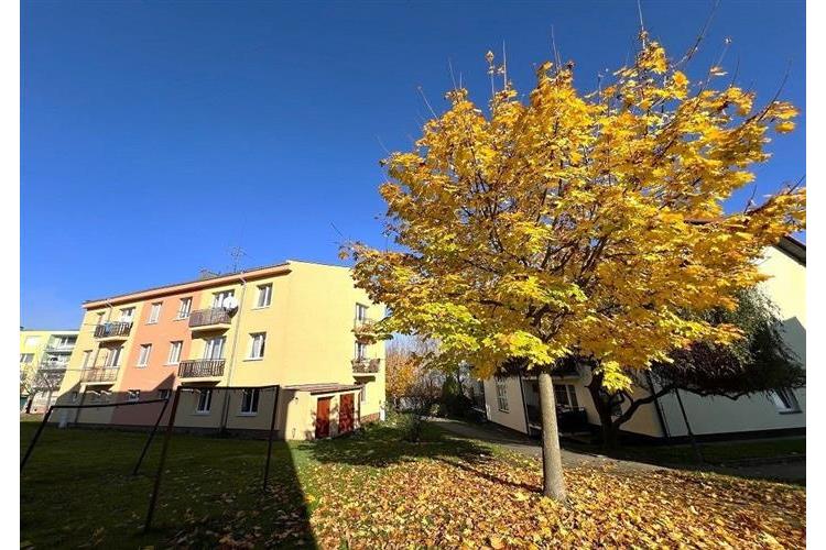 Byt 2KK Klenčí Venclikovi  279224 č.28.JPG