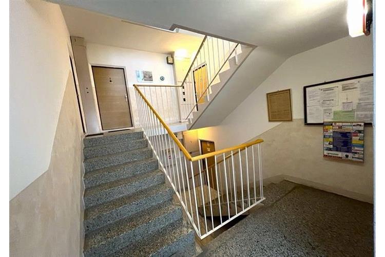 BYT 1+1 Dom. Kulich č.15.jpg