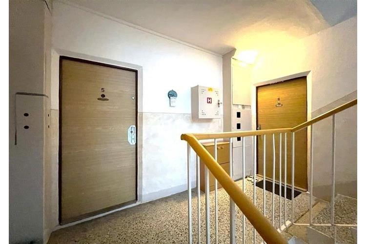 BYT 1+1 Dom. Kulich č.14.jpg