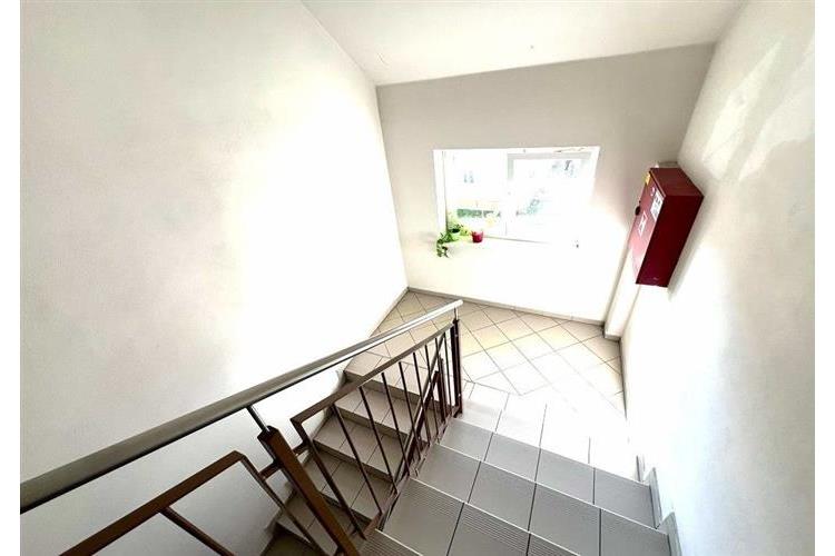 Byt nájem 1+1  Dom. 290326 č.17.jpg