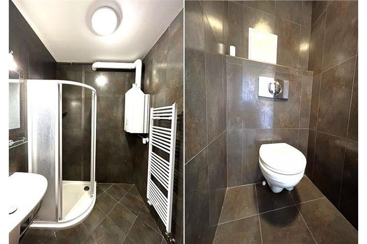 Byt nájem 1+1  Dom. 290326 č.11.jpg