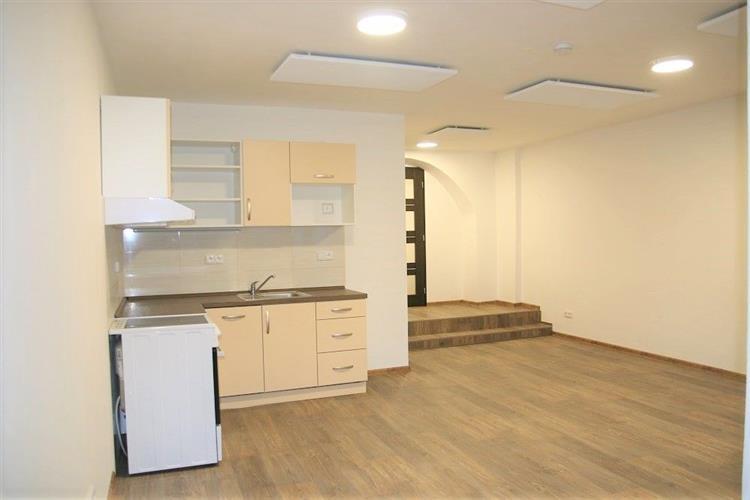 Byt č.7 1KK nájem II. Cocker 2893526 (5).JPG