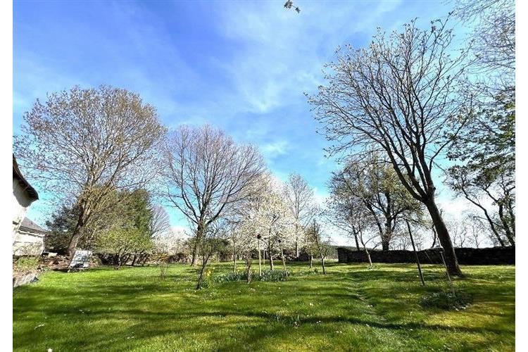 RD Přes če.1  Brunfleck č.27.JPG