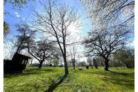 RD Přes če.1  Brunfleck č.34.JPG