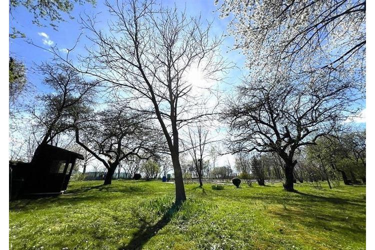 RD Přes če.1  Brunfleck č.34.JPG