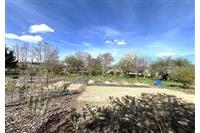 RD Přes če.1  Brunfleck č.35.JPG