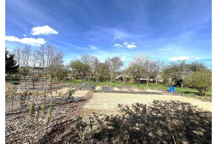 RD Přes če.1  Brunfleck č.35.JPG