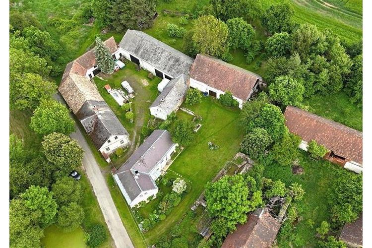 RD Přes če.1  Brunfleck č.10.JPG