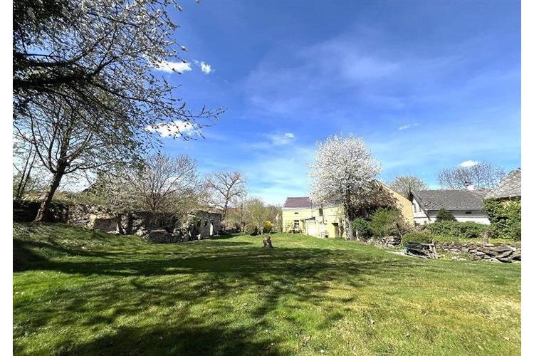 RD Přes če.1  Brunfleck č.12.JPG