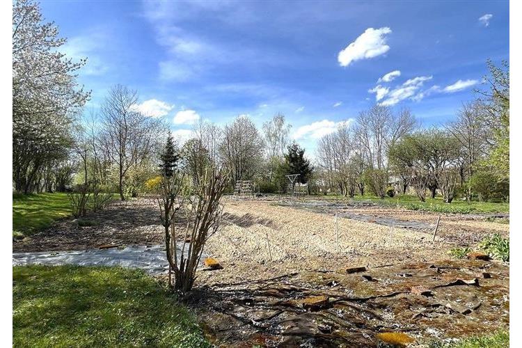 RD Přes če.1  Brunfleck č.33.JPG