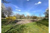 RD Přes če.1  Brunfleck č.32.JPG