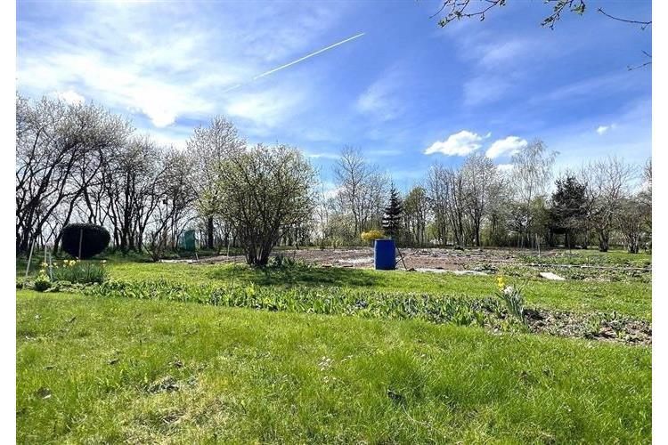 RD Přes če.1  Brunfleck č.30.JPG