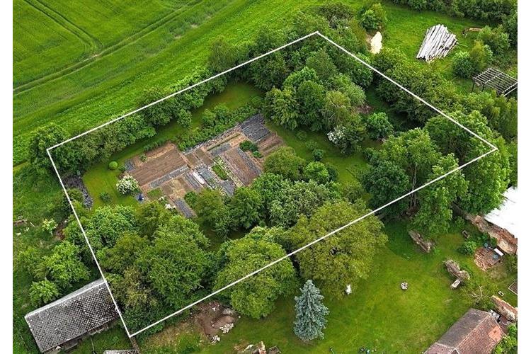 RD Přes če.1  Brunfleck č.11.JPG