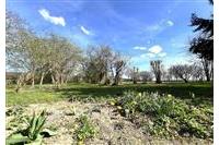 RD Přes če.1  Brunfleck č.31.JPG