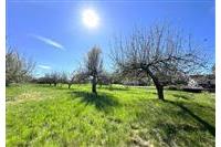 RD Tlumačov - Jungovi č.19.jpg