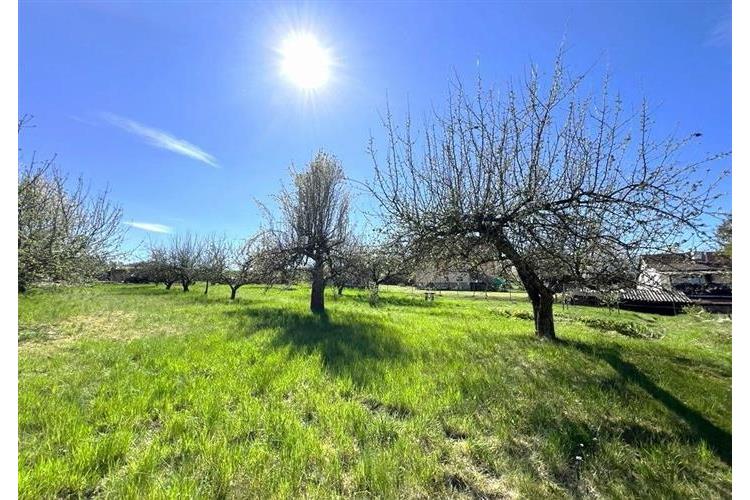 RD Tlumačov - Jungovi č.19.jpg