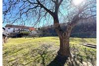 RD Kozolupy Rada 282525 č.15.JPG