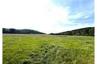 Mlýn Svržno Mizera 284925 č.20.JPG