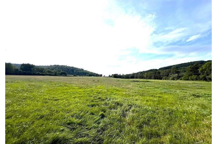 Mlýn Svržno Mizera 284925 č.20.JPG