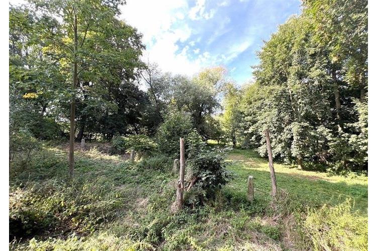 Mlýn Svržno Mizera 284925 č.11.JPG