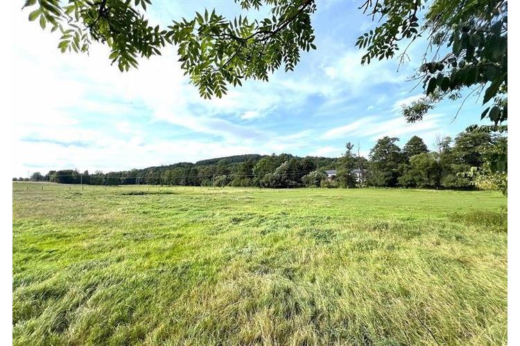 Mlýn Svržno Mizera 284925 č.19.JPG