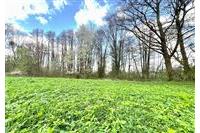 Pozemky Lamač- Klenčí les+zeleň č.6.jpg