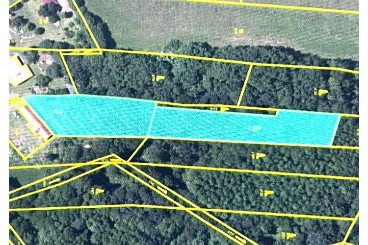 Pozemky Lamač- Klenčí les+zeleň č.5.jpg