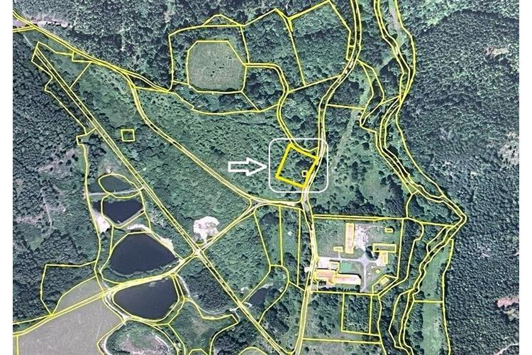 poz. st. Libá-Dubina 295026 č (20).jpg