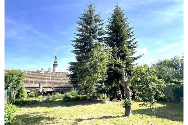 Pozemek Dom. Richtrovi č.15.jpg