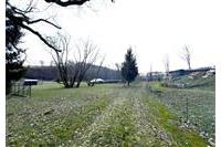 Pozemek s RD Folmava Kohel č.7.jpg