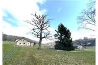 Pozemek s RD Folmava Kohel č.5.jpg