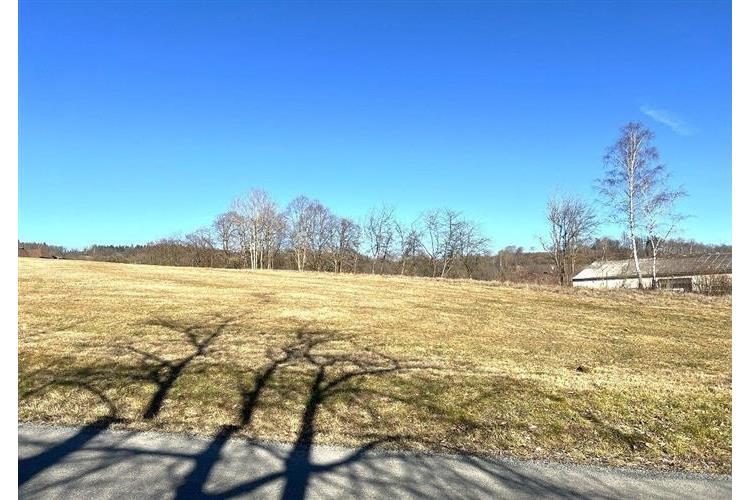 Pozemek Stráž Růžek č.10.JPG