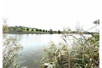 Pozemek Všeruby - Hrkal. 285725 č.16.jpg