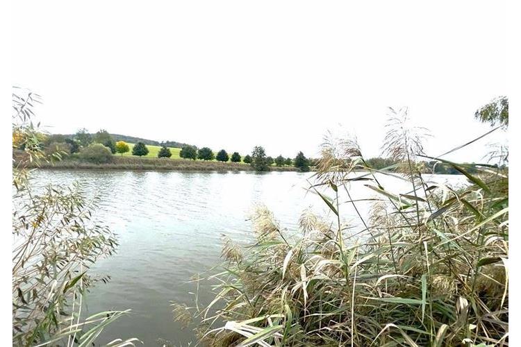 Pozemek Všeruby - Hrkal. 285725 č.16.jpg