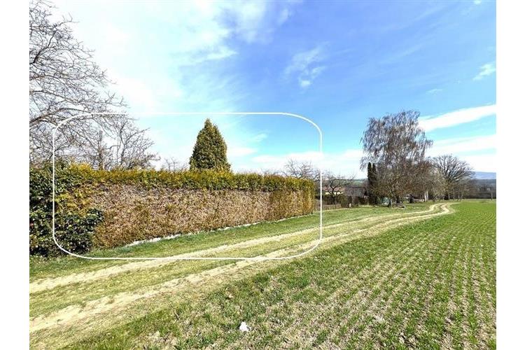 Zahrada Dom. Bor 290226 č.25.jpg