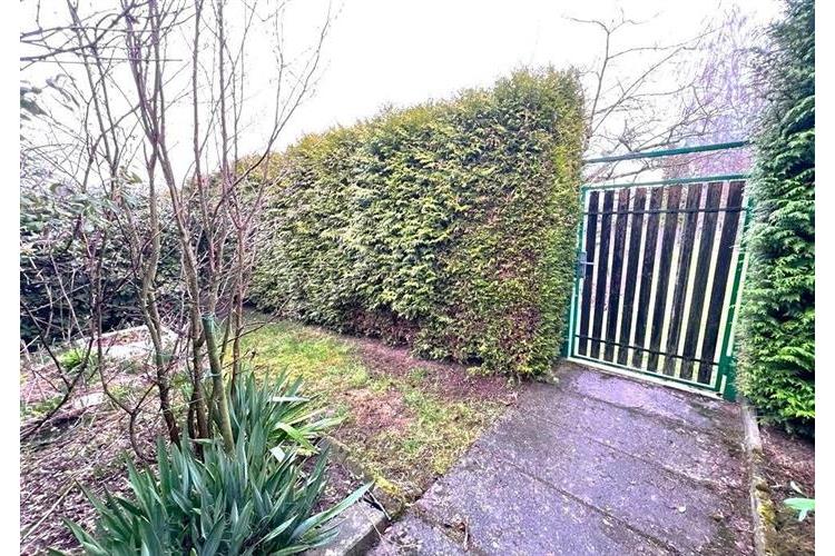 Zahrada Dom. Bor 290226 č.21.jpg