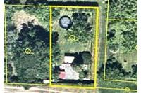 Zahrada Dom. Bor 290226 č.3.jpg