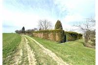 Zahrada Dom. Bor 290226 č.24.jpg