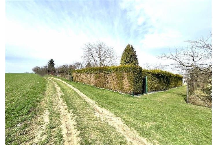 Zahrada Dom. Bor 290226 č.24.jpg