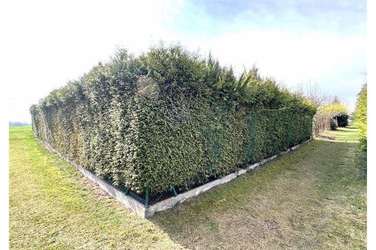 Zahrada Dom. Bor 290226 č.23.jpg