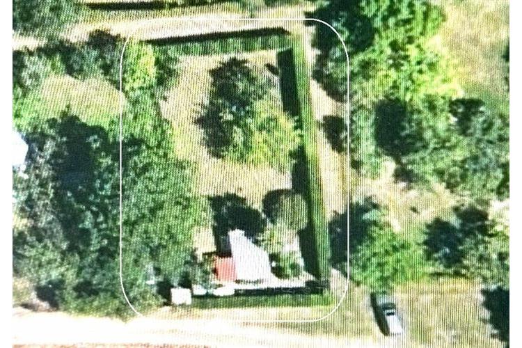 Zahrada Dom. Bor 290226 č.27.jpg