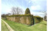 Zahrada Dom. Bor 290226 č.4.jpg