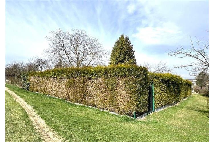 Zahrada Dom. Bor 290226 č.4.jpg