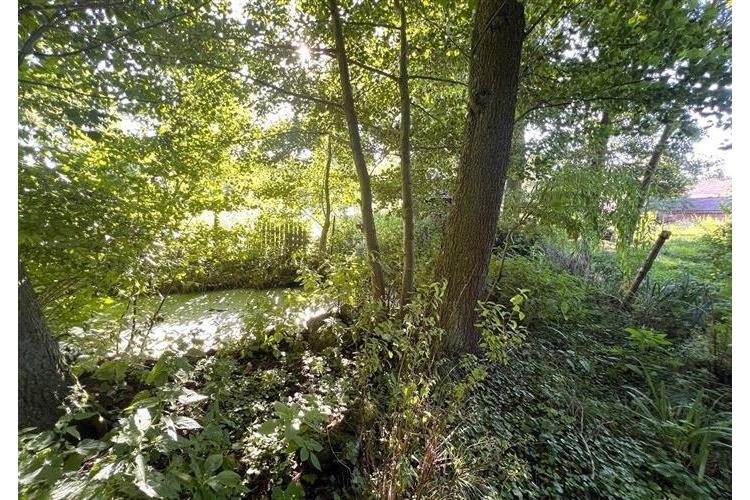 Pozemek Mrchojedy 284525 Schill. č.11.JPG