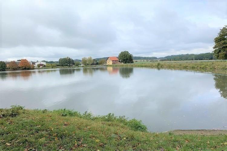 pozemek Kout n Š p. Ryba č.13.JPG