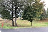 pozemek Kout n Š p. Ryba č.19.JPG