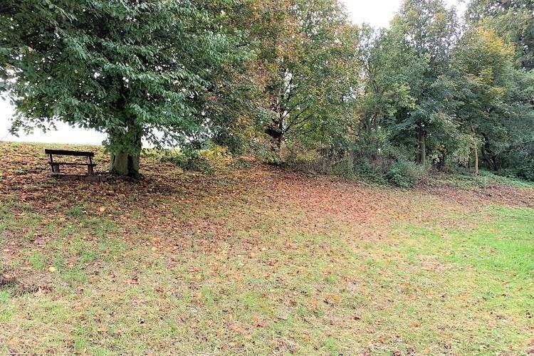 pozemek Kout n Š p. Ryba č.11.JPG