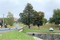 pozemek Kout n Š p. Ryba č.17.JPG