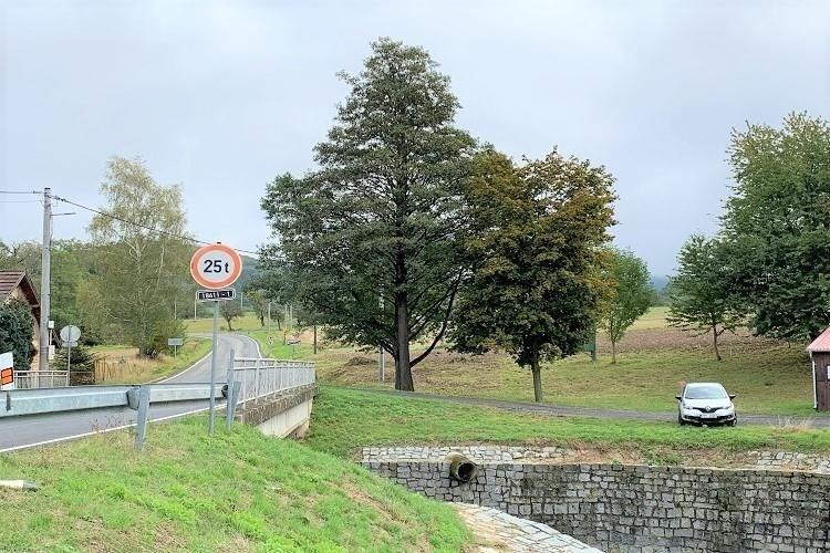 pozemek Kout n Š p. Ryba č.17.JPG