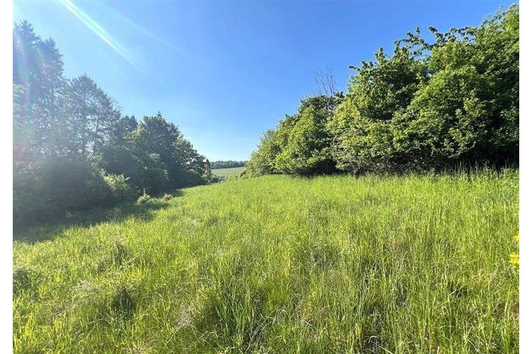 zem. poz. Oprechtice Pejsar č.11.JPG